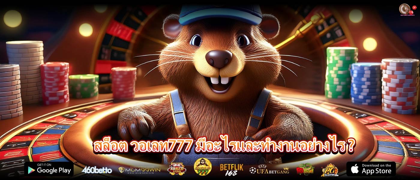 สล็อต วอเลท777 มีอะไรและทำงานอย่างไร ?